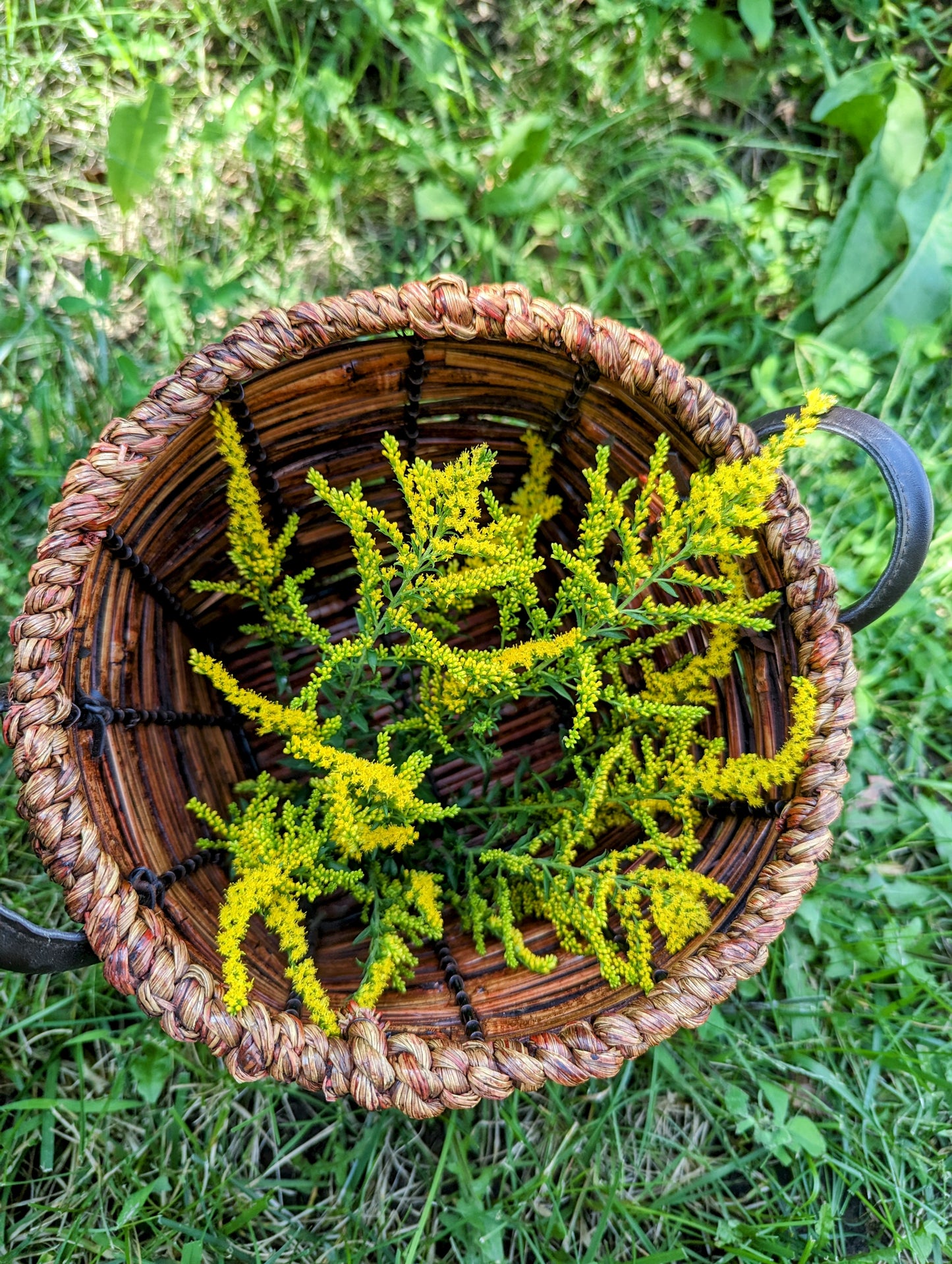 Renew and Restore tea blend