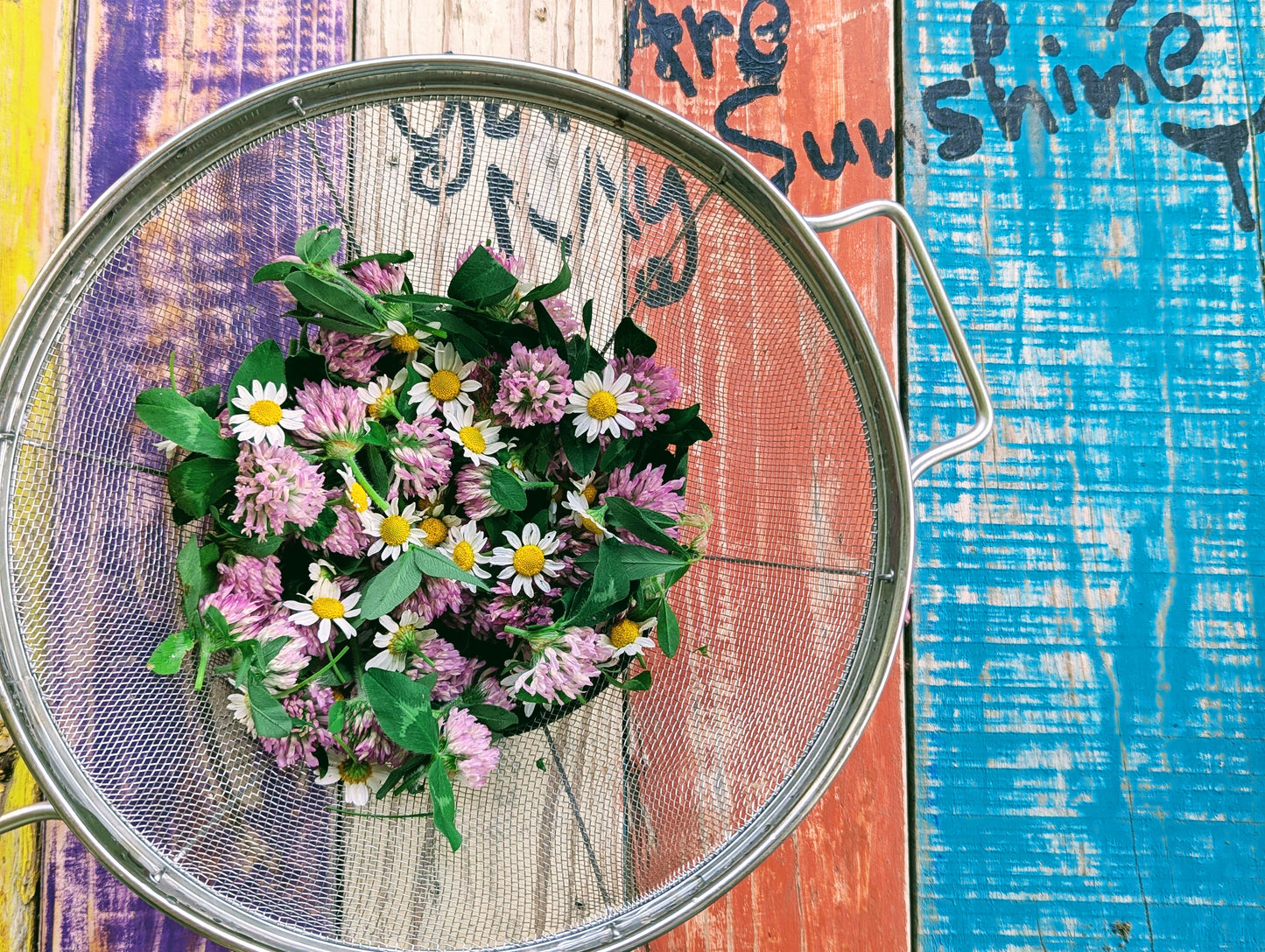 Midlife Meadow Tincture