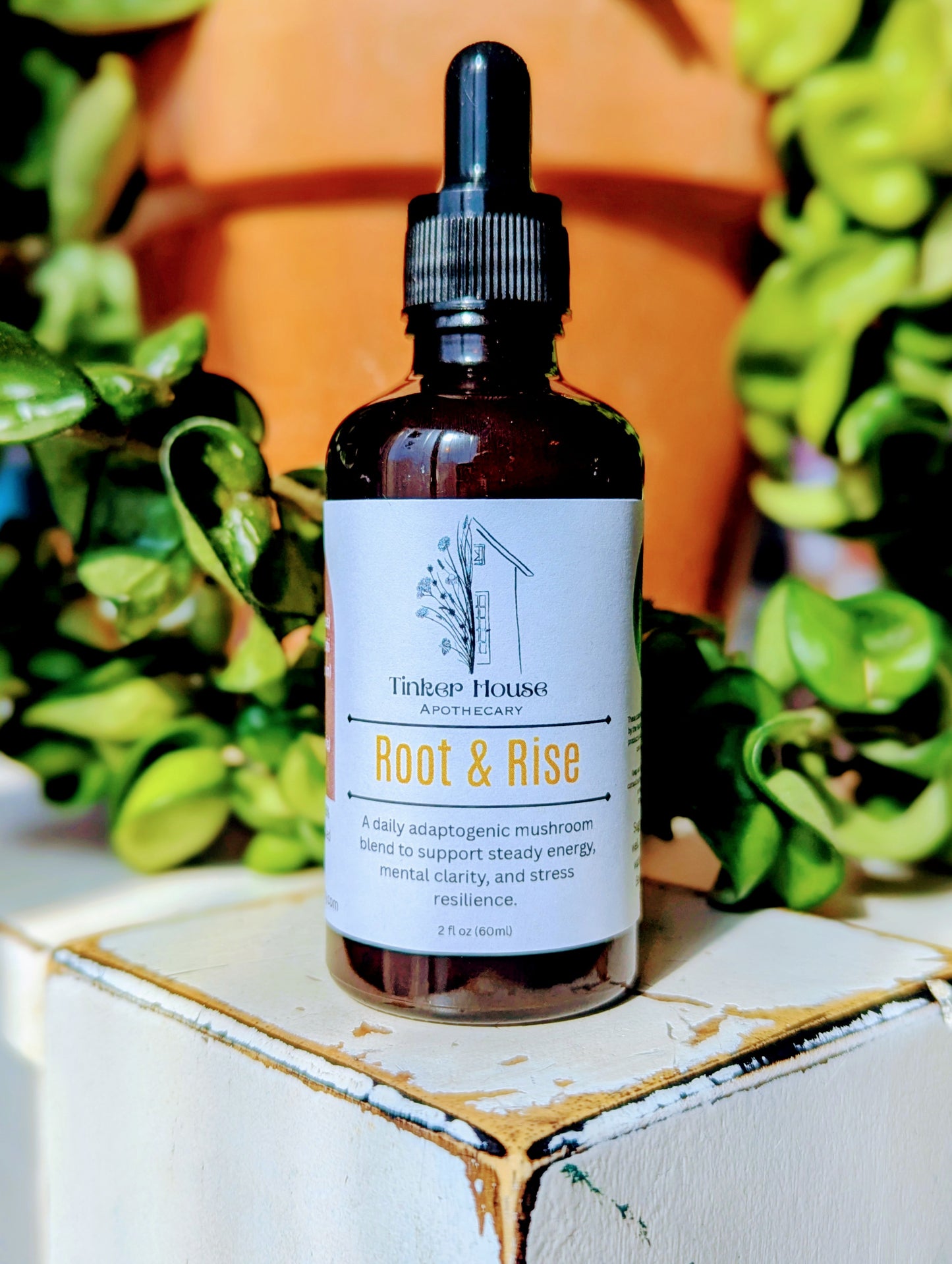 Root & Rise mushroom blend tincture