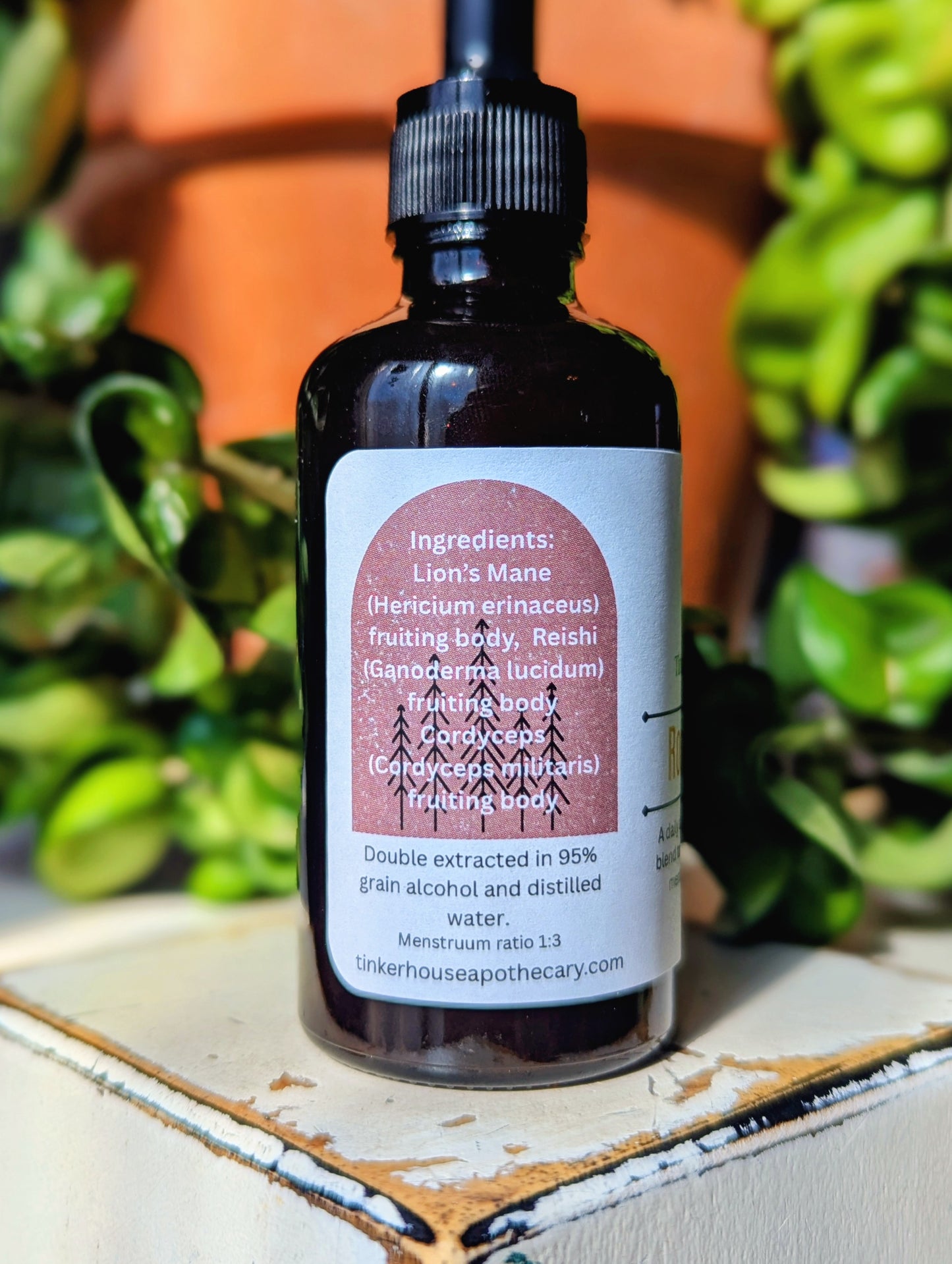 Root & Rise mushroom blend tincture