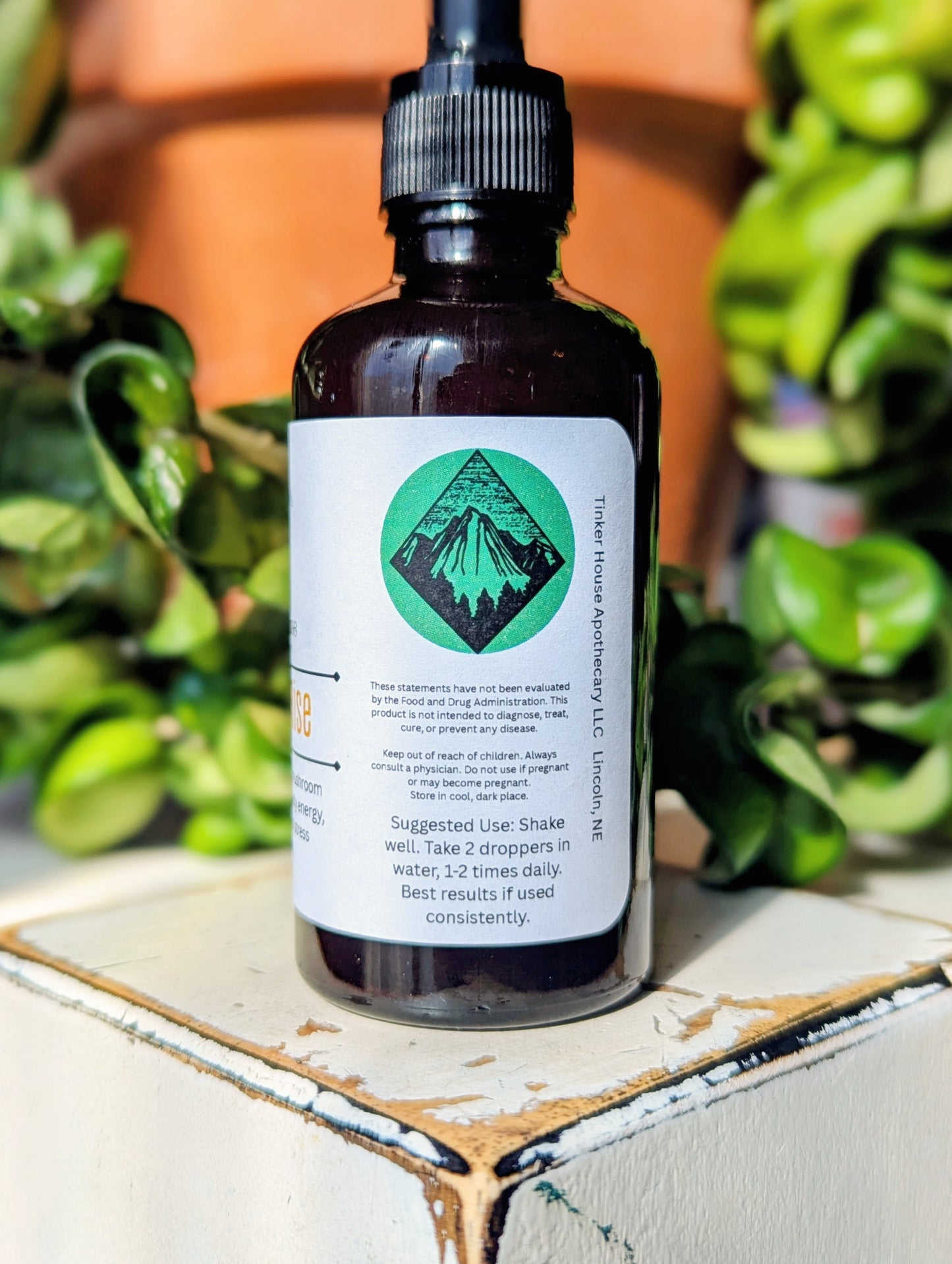 Root & Rise mushroom blend tincture